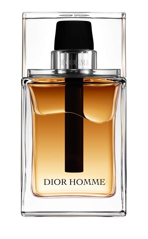 dior homme 2011